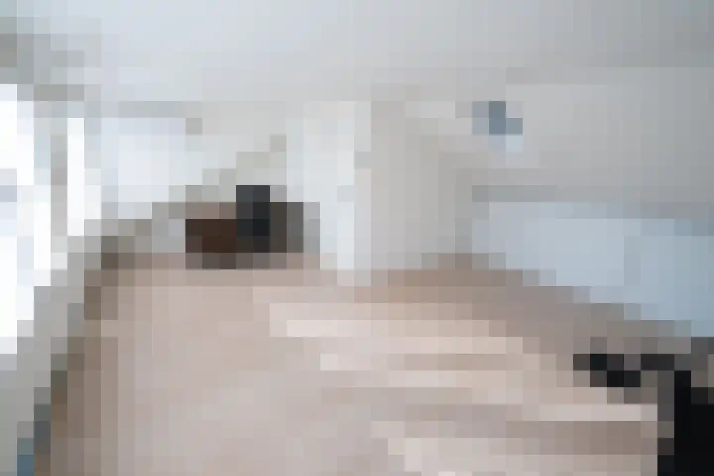 Maaseikstraat 55 Breda thumbnail 50