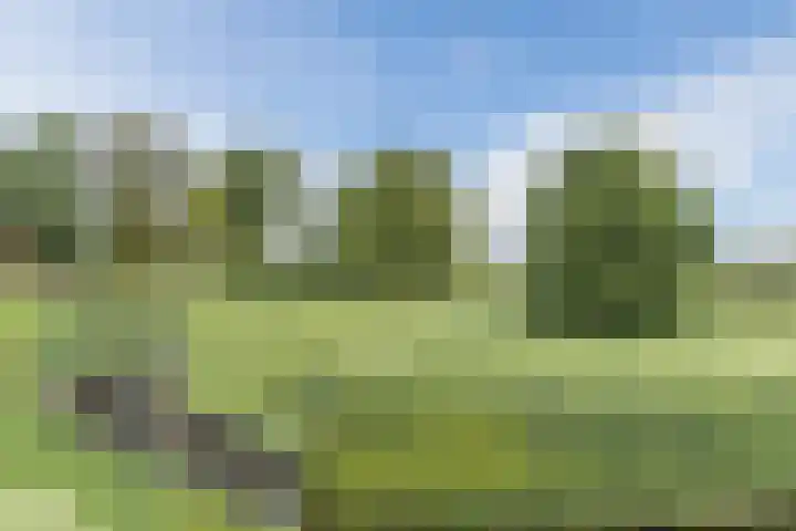 Maasgaard 12 Wijk en Aalburg thumbnail 52