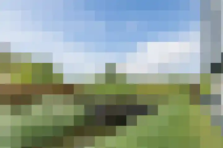 Maasgaard 12 Wijk en Aalburg thumbnail 53