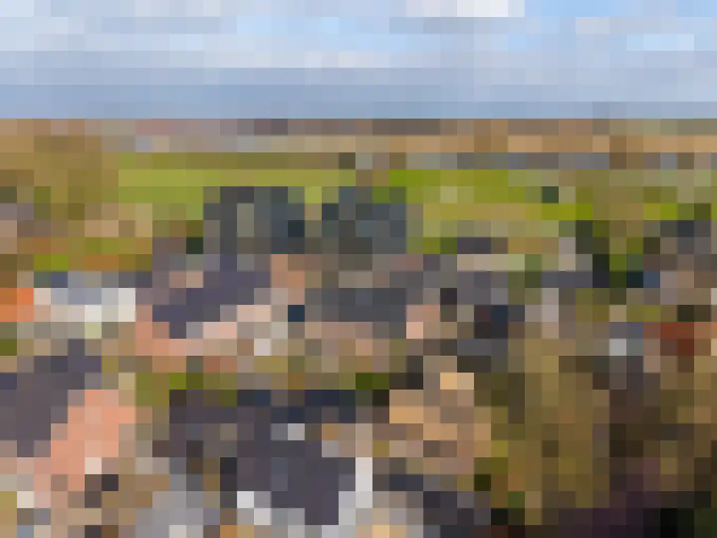 Maasgaard 14 Wijk en Aalburg thumbnail 31