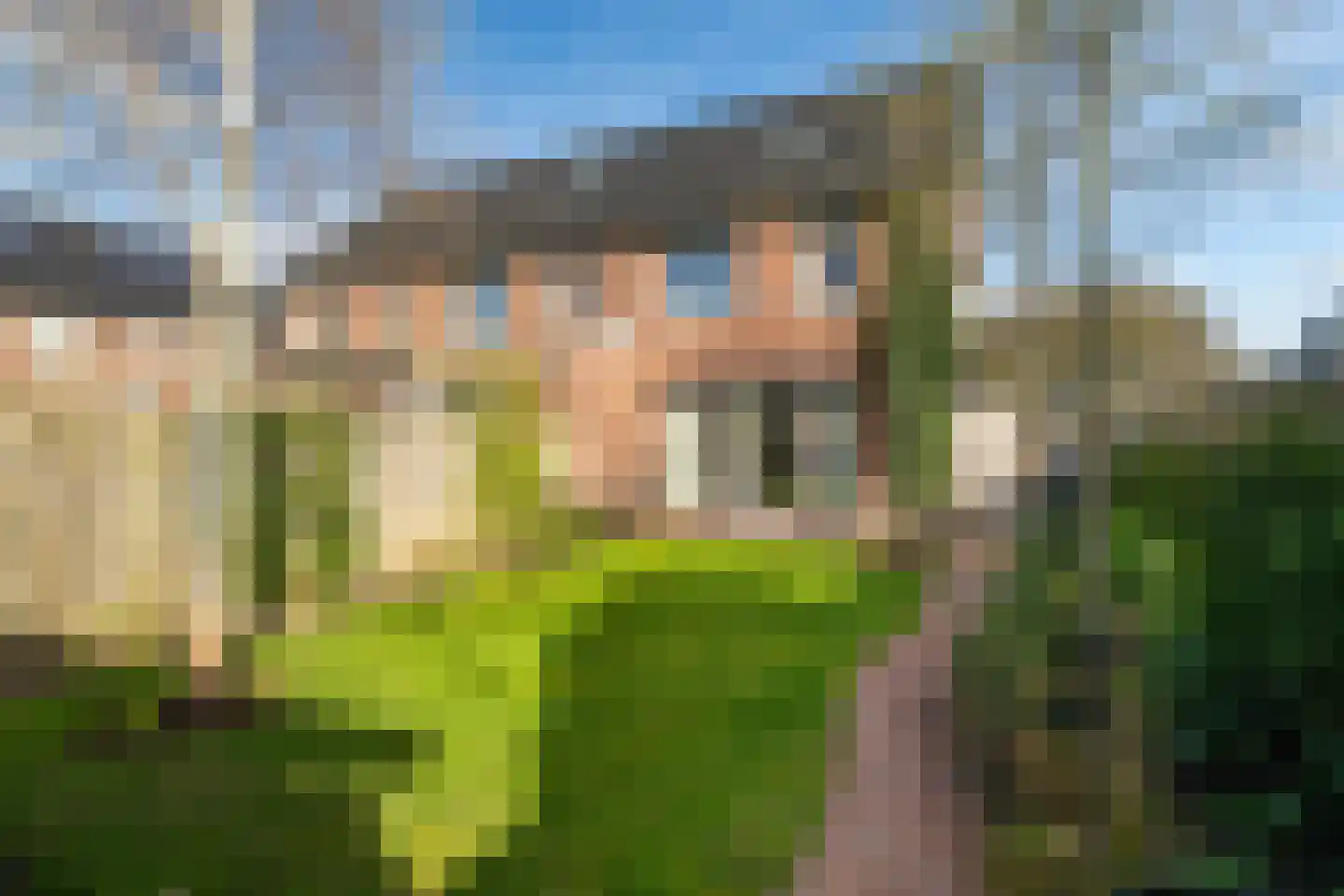 Maasgaard 14 Wijk en Aalburg thumbnail 32