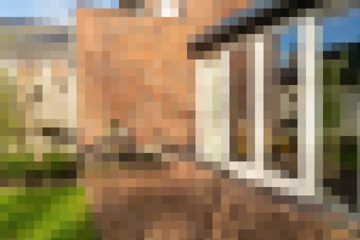 Maasgaard 14 Wijk en Aalburg thumbnail 33