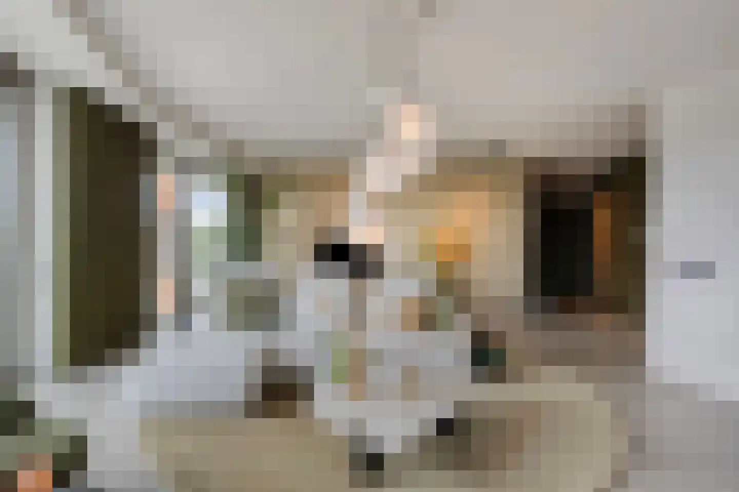 Maashaven 706 Roermond thumbnail 10