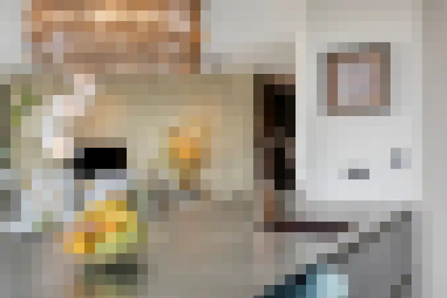 Maashaven 706 Roermond thumbnail 15