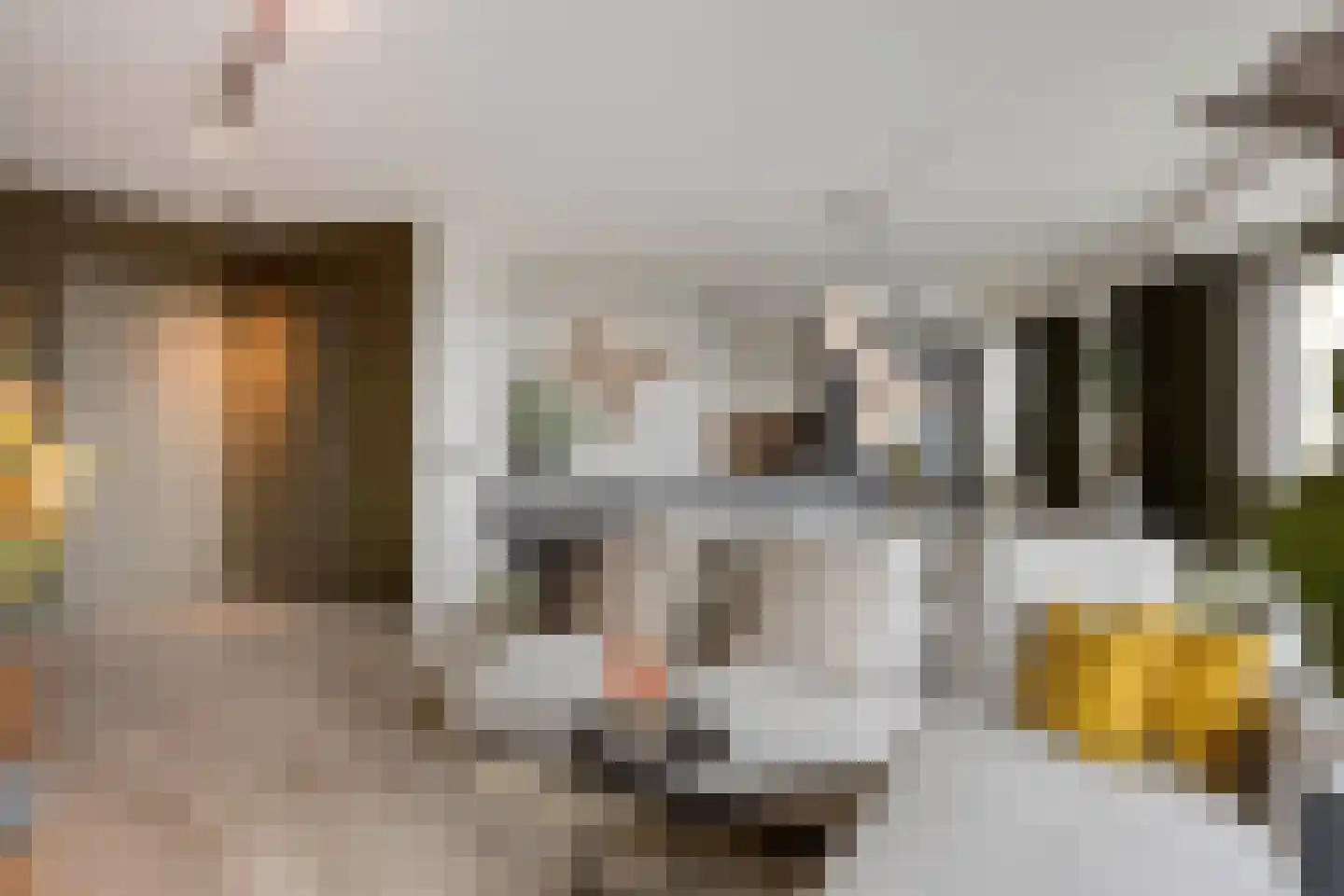 Maashaven 706 Roermond thumbnail 6