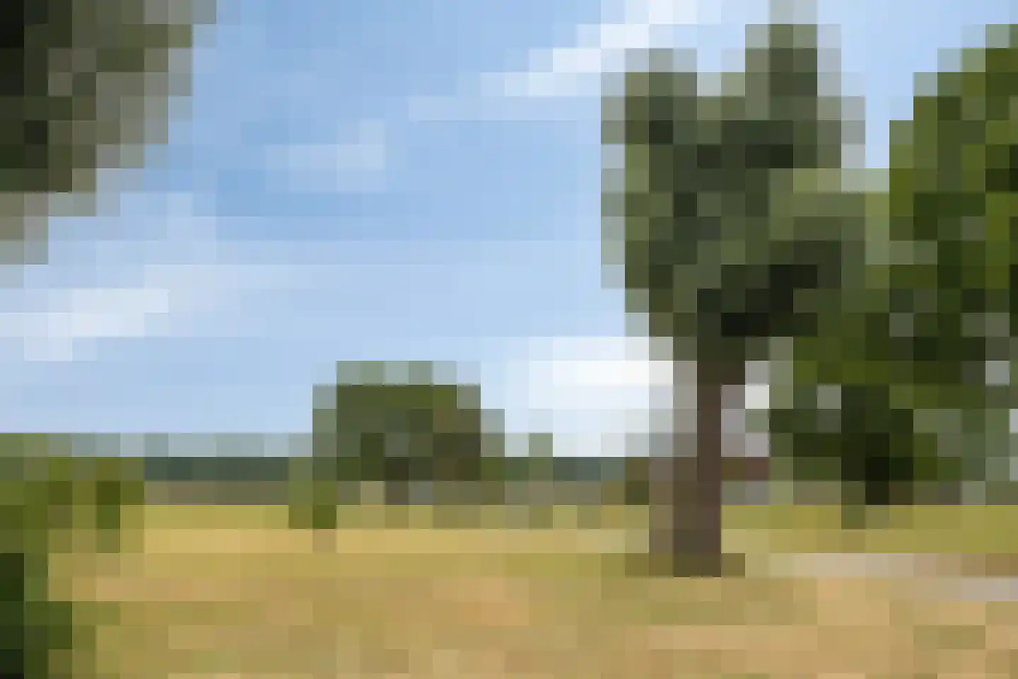 Maashaven 706 Roermond thumbnail 61