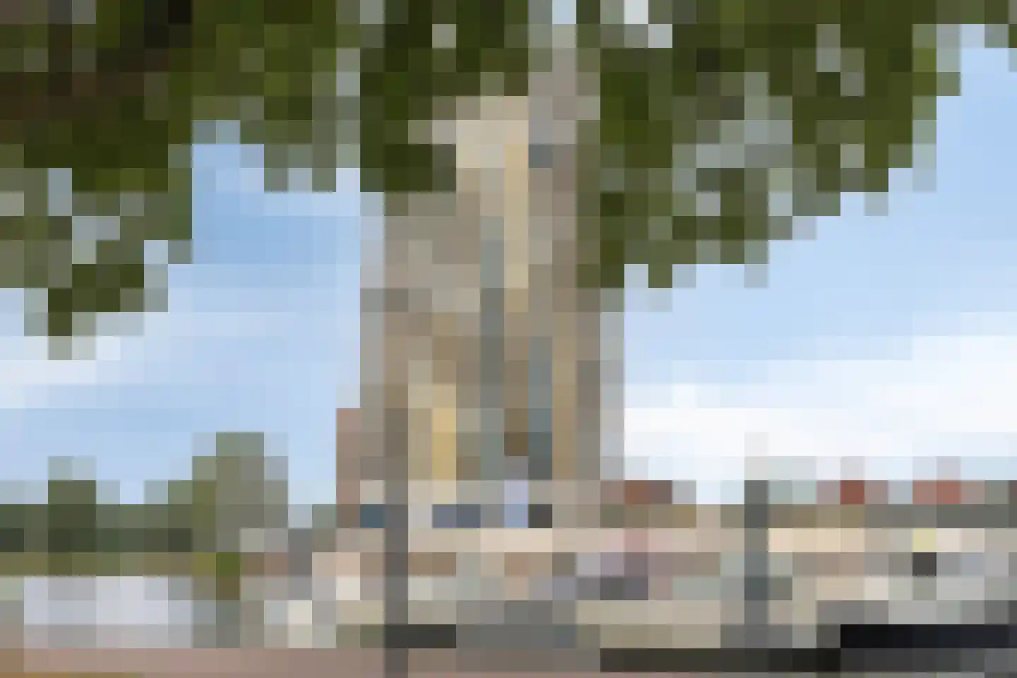 Maashaven 706 Roermond thumbnail 62