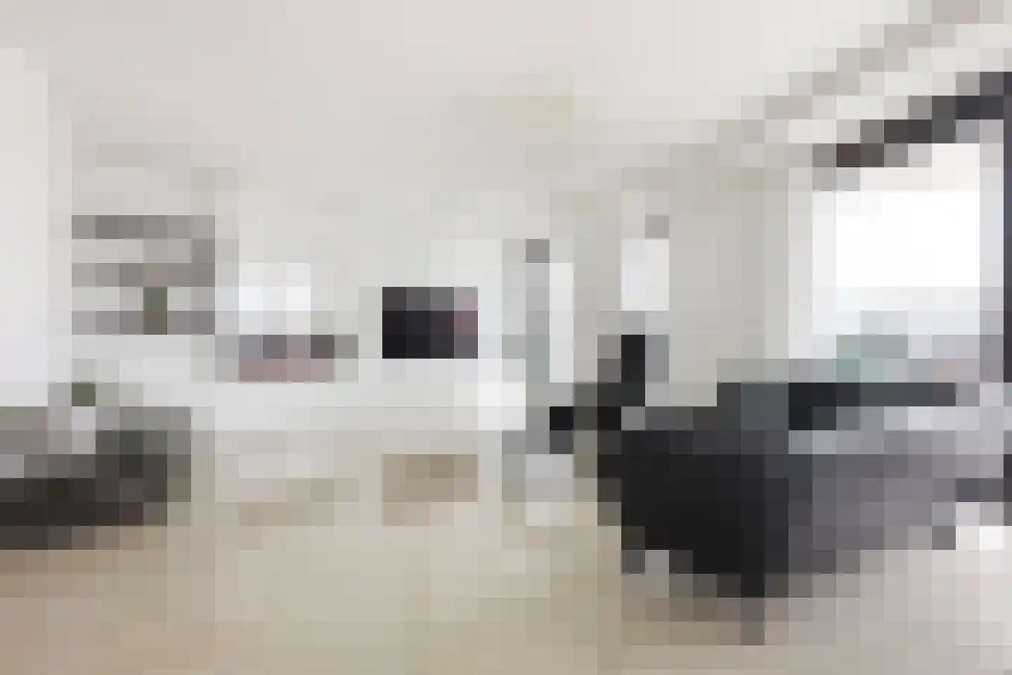 Maashaven 722 Roermond thumbnail 6
