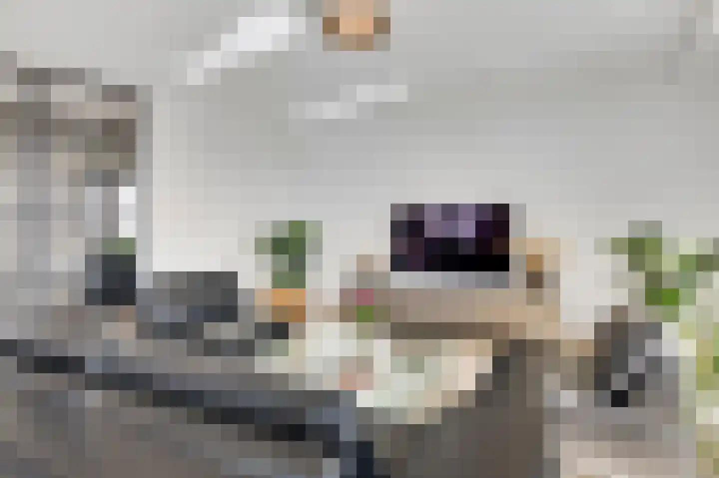 Maashaven 752 Roermond thumbnail 12