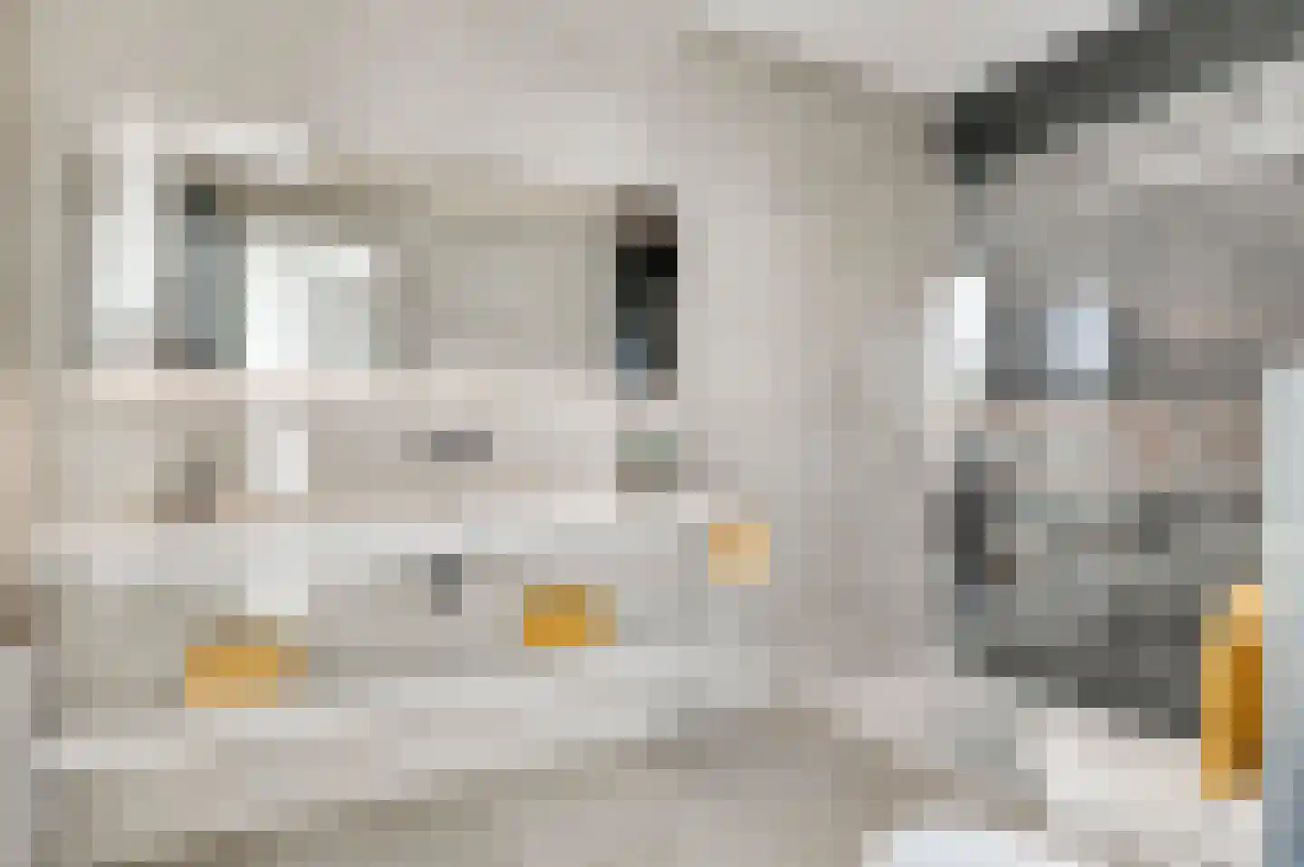 Maashaven 752 Roermond thumbnail 27