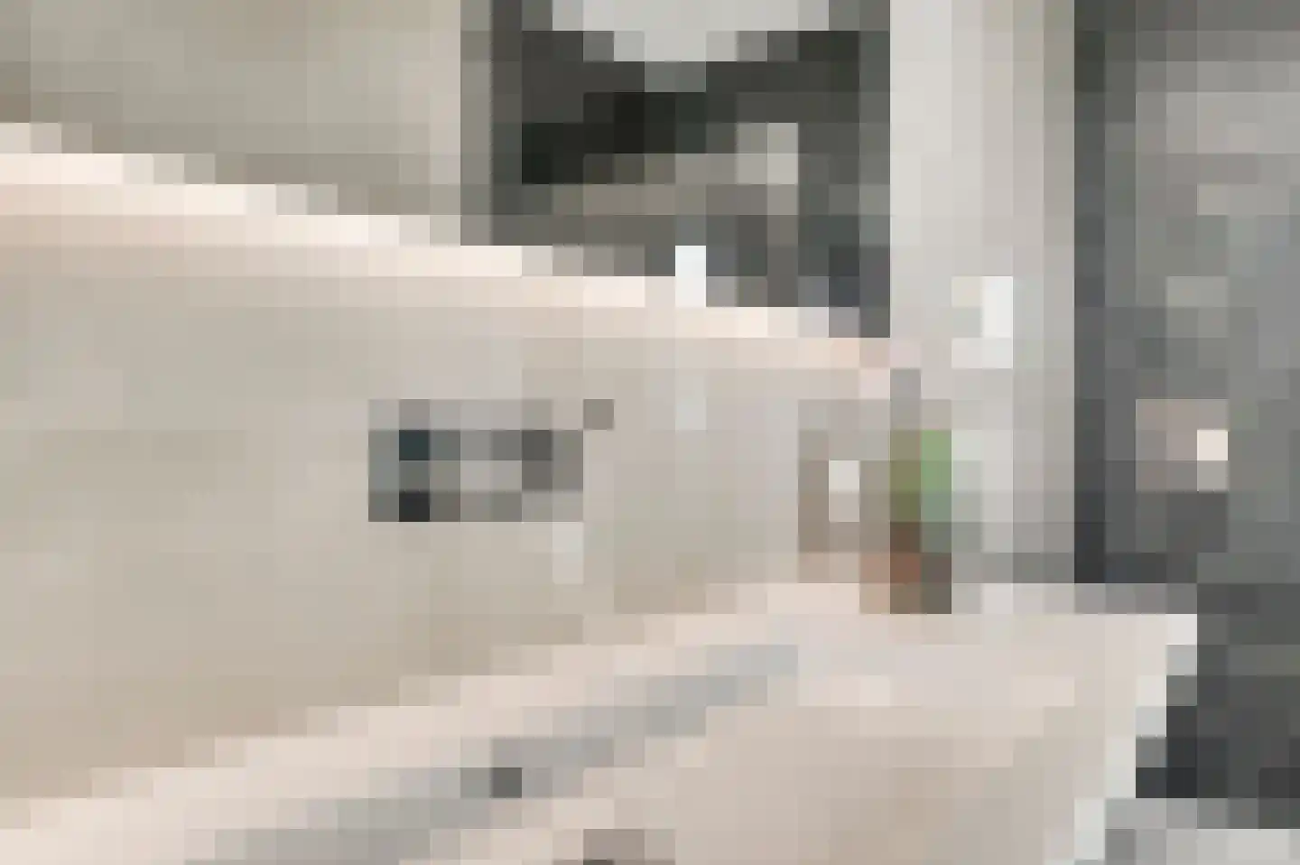 Maashaven 752 Roermond thumbnail 30