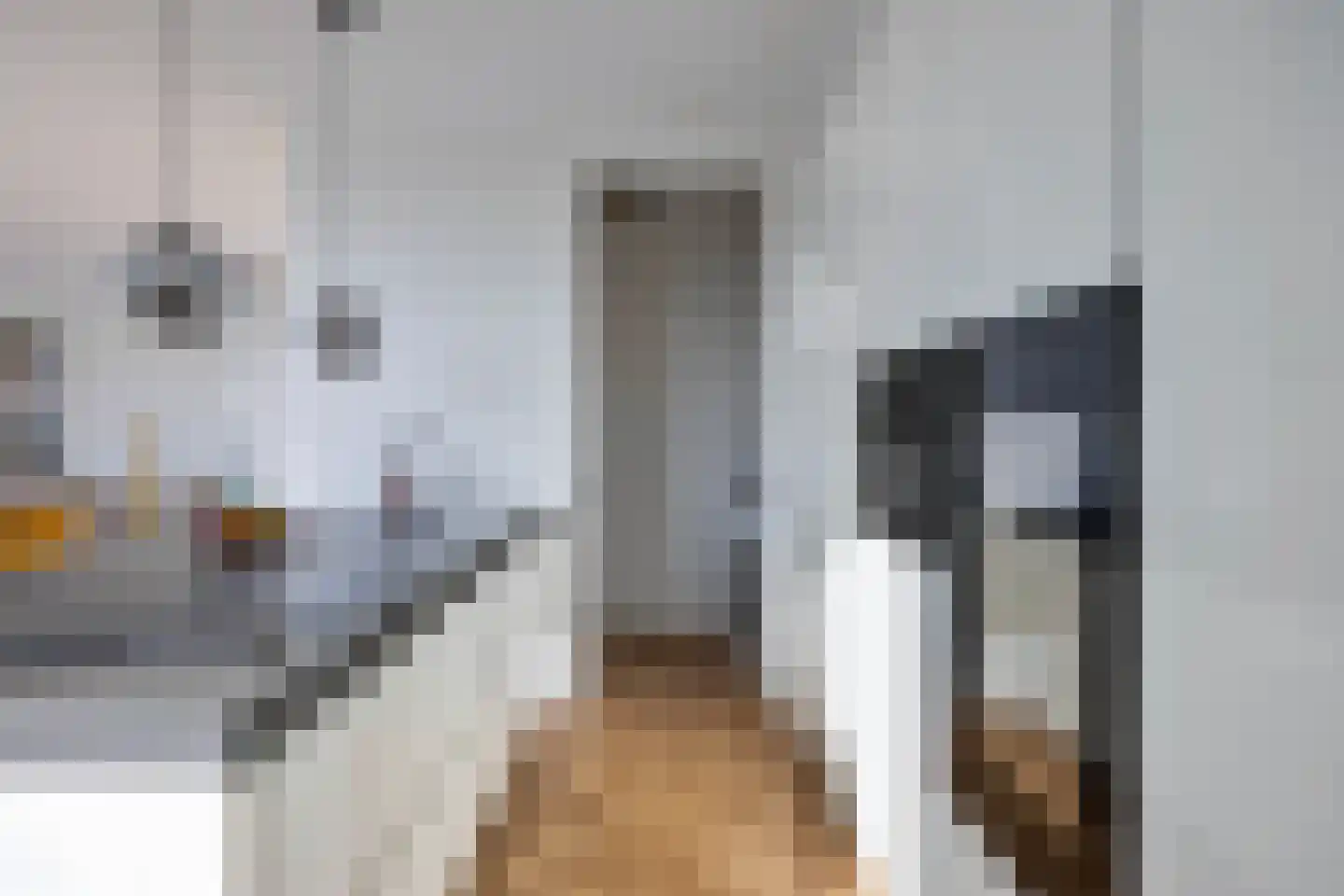 Maashaven 754 Roermond thumbnail 20