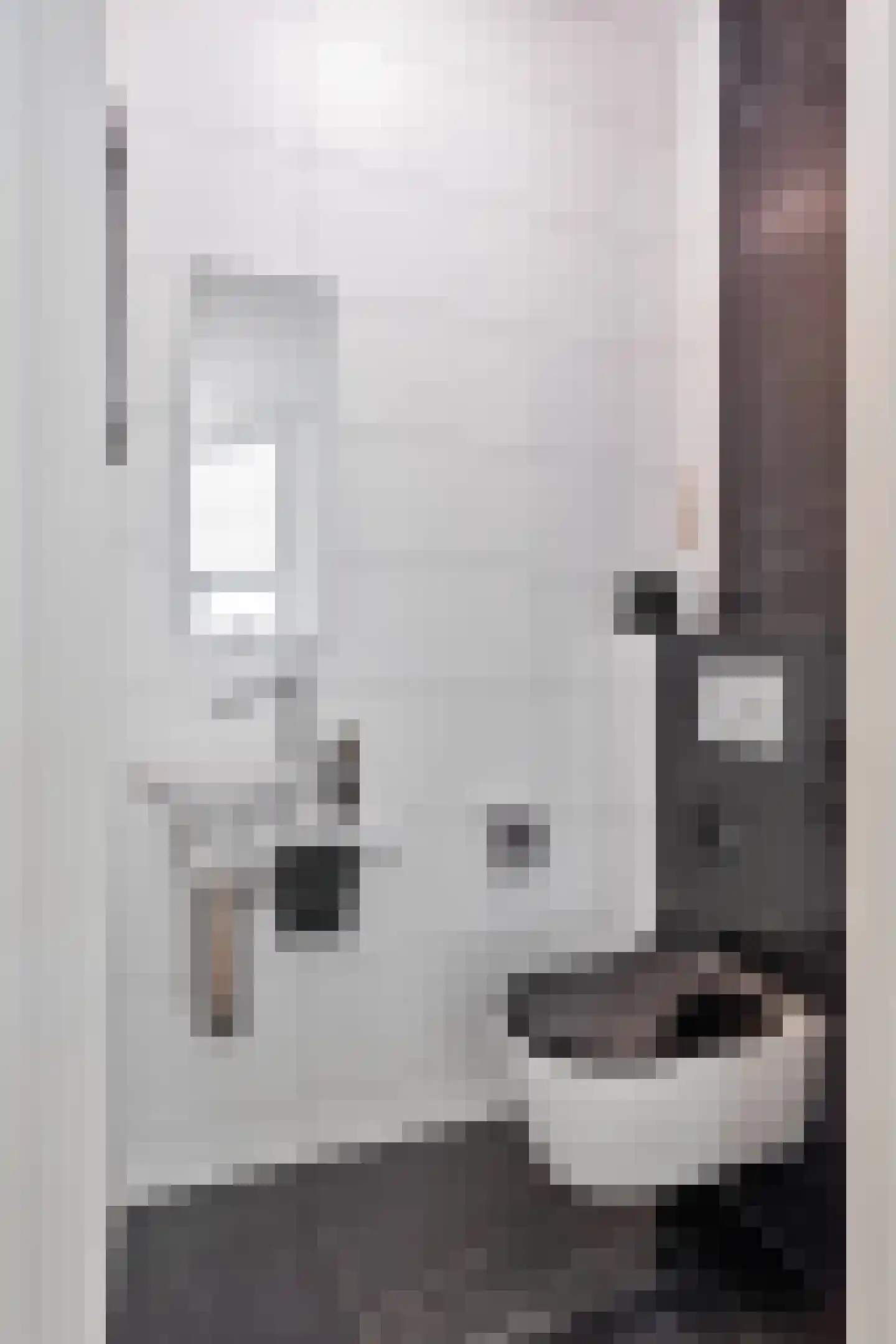 Maashaven 754 Roermond thumbnail 24