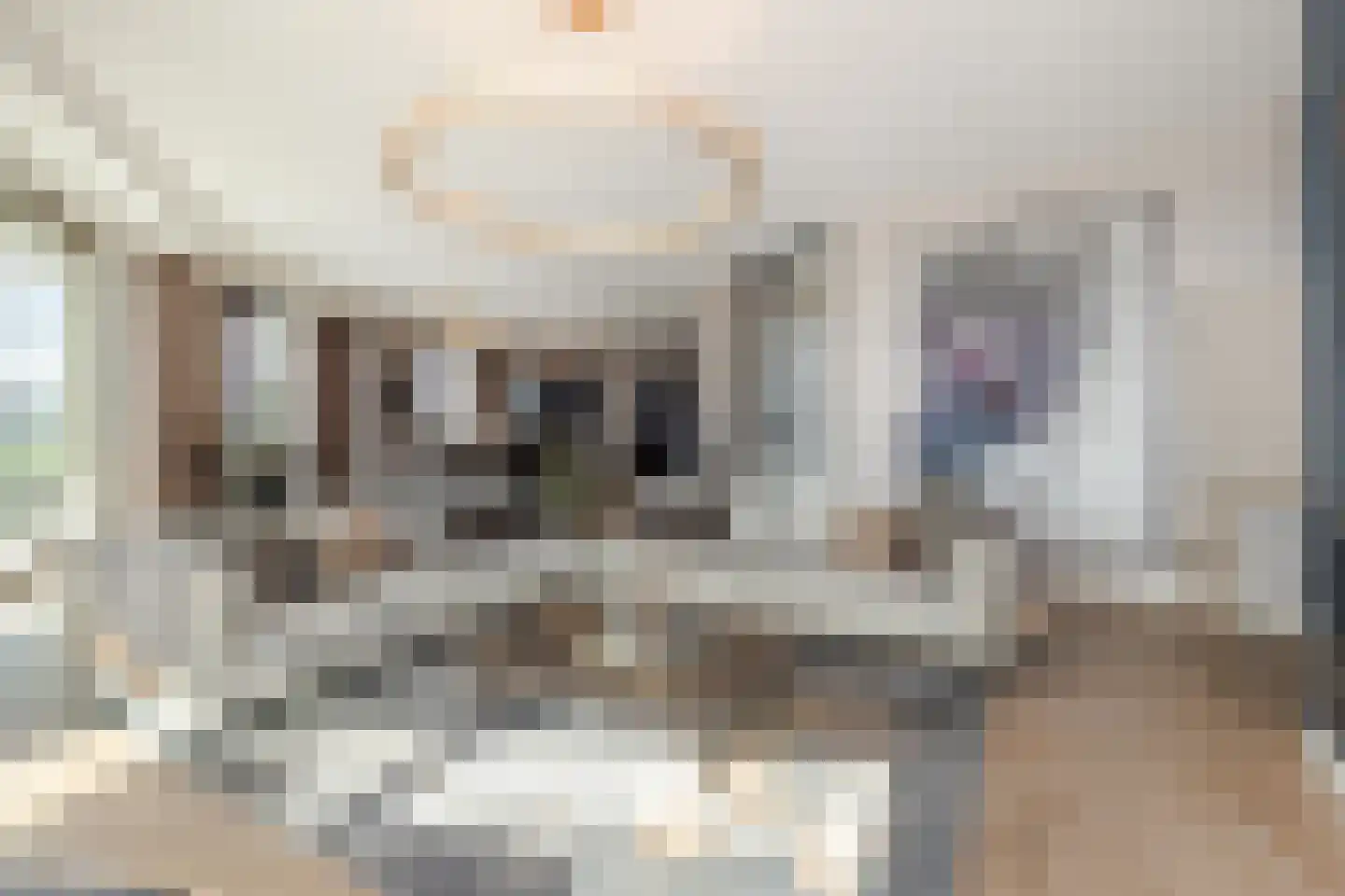 Maashaven 758 Roermond thumbnail 12