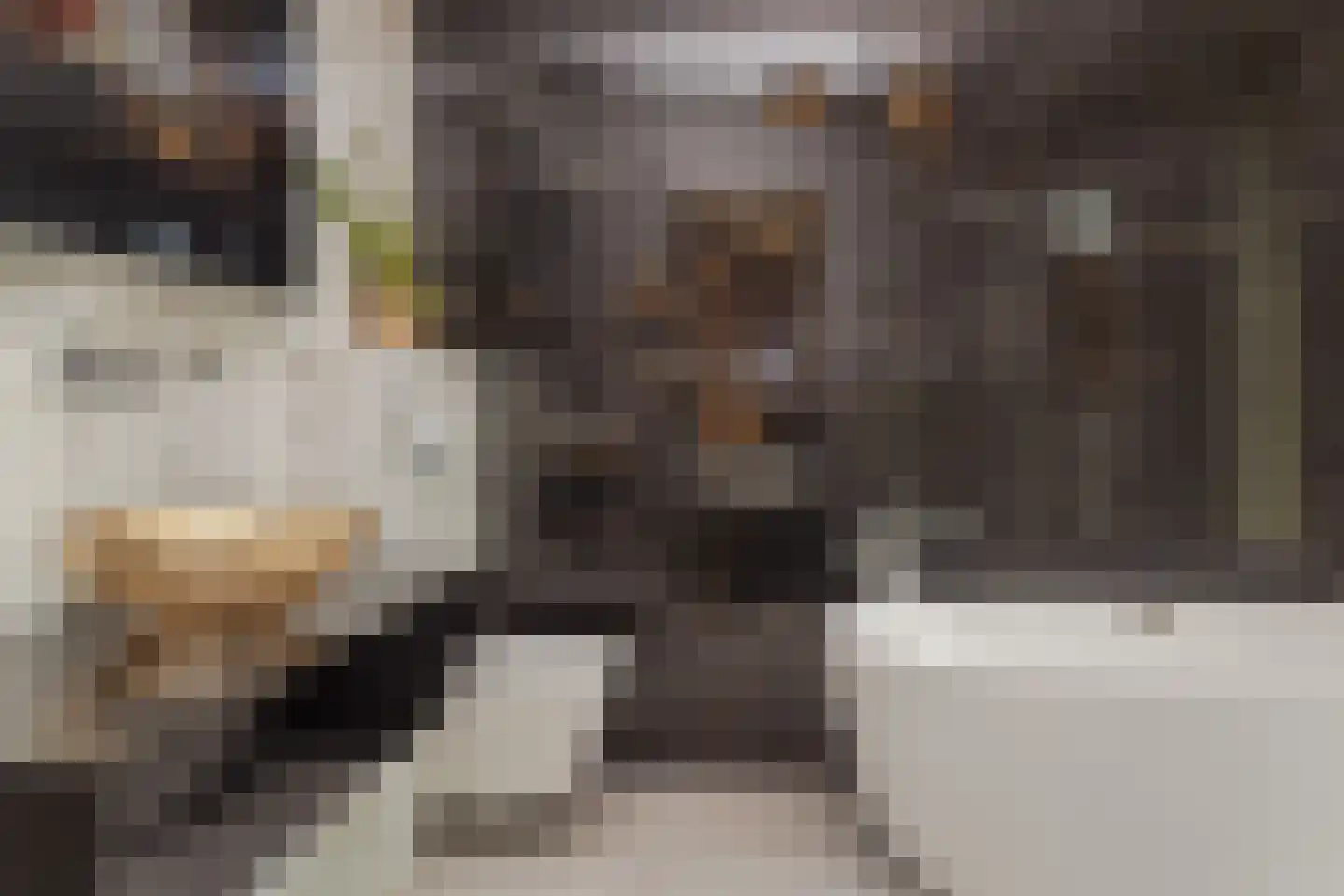 Maashaven 758 Roermond thumbnail 31