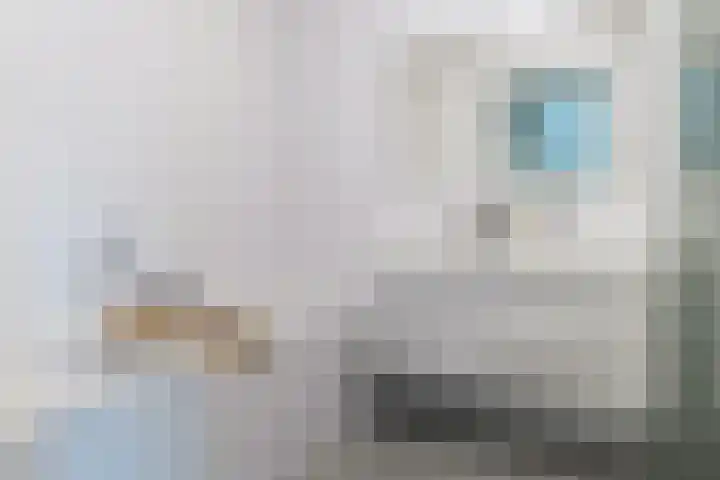 Maashaven N.z. 41 Rotterdam thumbnail 27