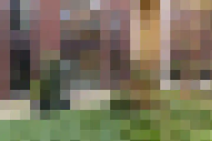 Maashaven N.z. 41 Rotterdam thumbnail 37