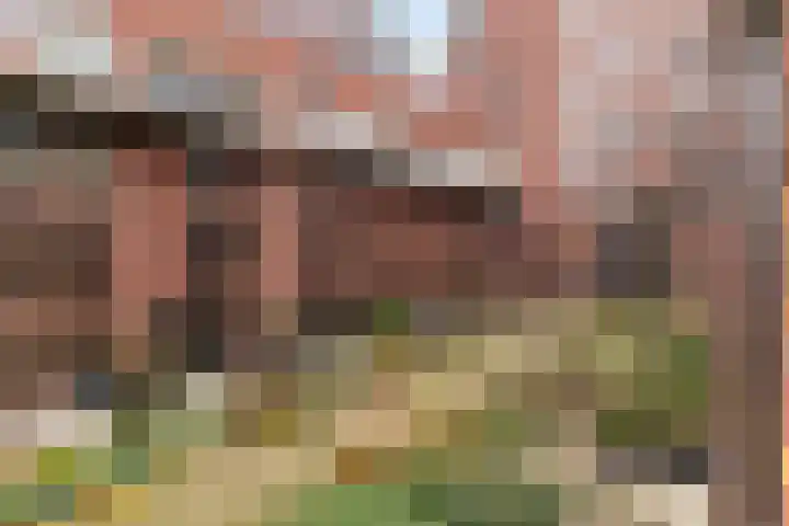 Maashaven N.z. 41 Rotterdam thumbnail 39