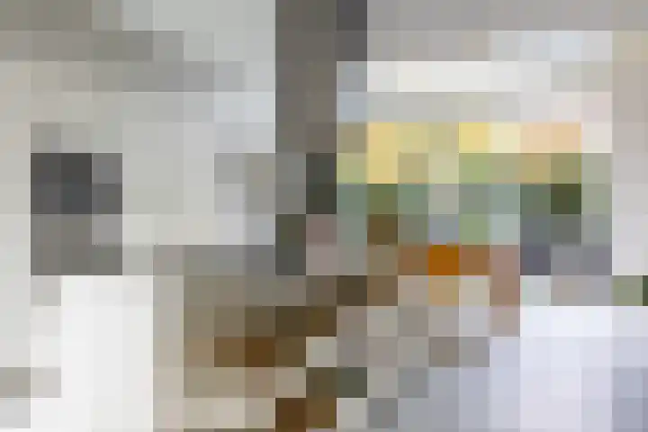 Maashaven N.z. 439 Rotterdam thumbnail 12