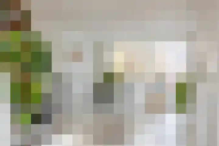 Maashaven N.z. 439 Rotterdam thumbnail 25
