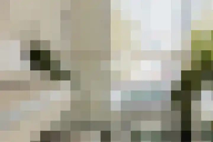 Maashaven N.z. 439 Rotterdam thumbnail 28