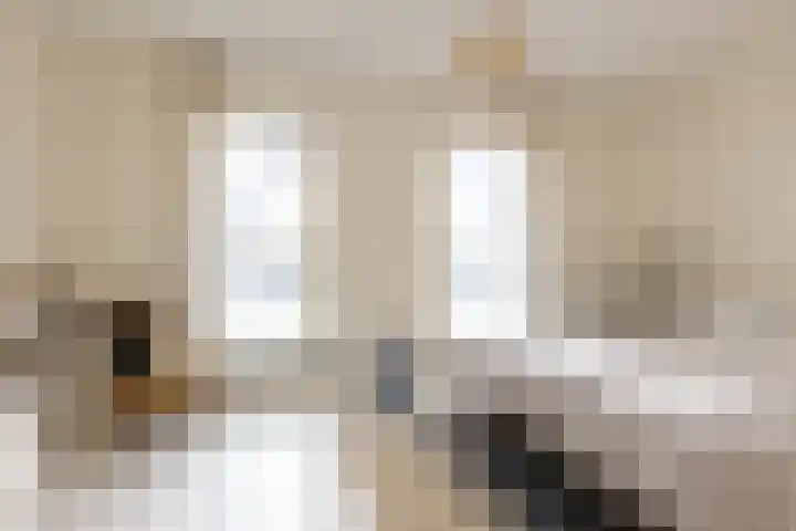 Maashaven N.z. 439 Rotterdam thumbnail 39