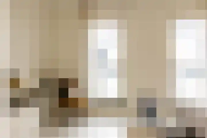 Maashaven N.z. 439 Rotterdam thumbnail 41