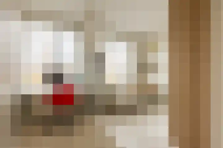 Maashaven N.z. 439 Rotterdam thumbnail 42