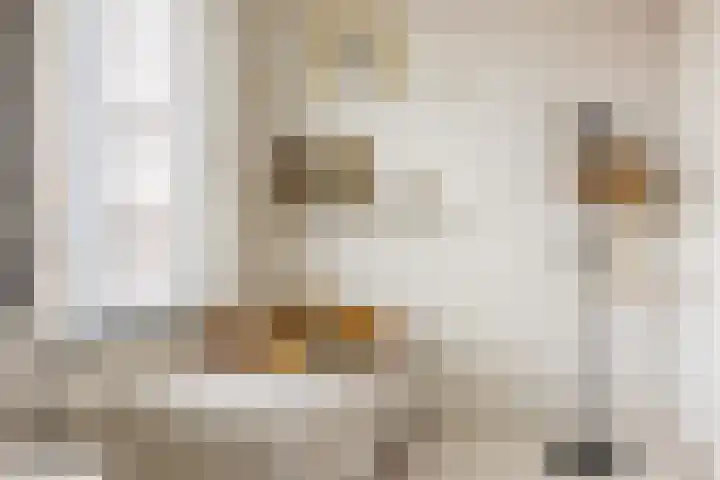 Maashaven N.z. 439 Rotterdam thumbnail 43