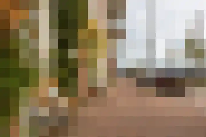 Maashaven N.z. 439 Rotterdam thumbnail 47