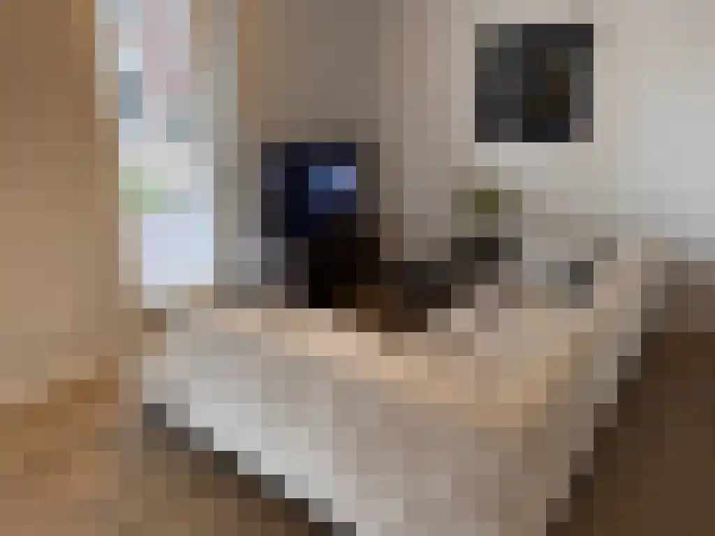 Maashaven N.z. 471 Rotterdam thumbnail 4