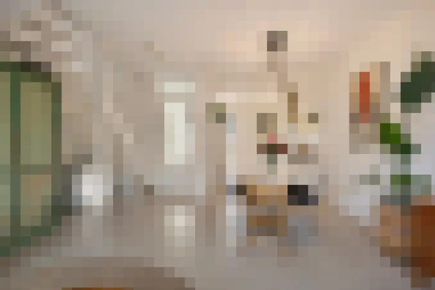 Maashaven N.z. 525 Rotterdam thumbnail 18