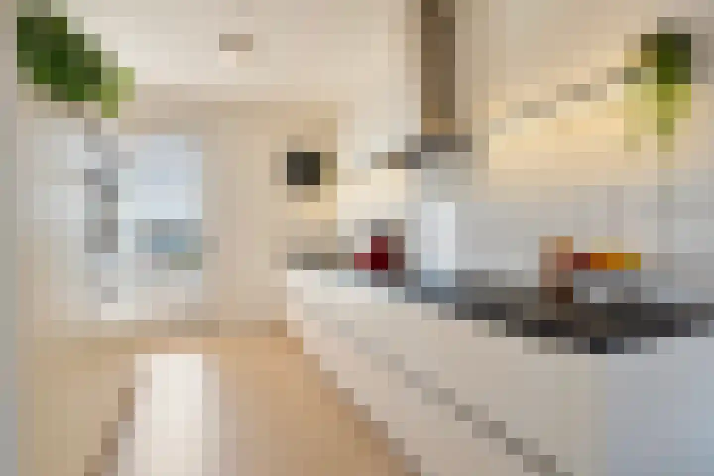 Maashaven N.z. 525 Rotterdam thumbnail 21