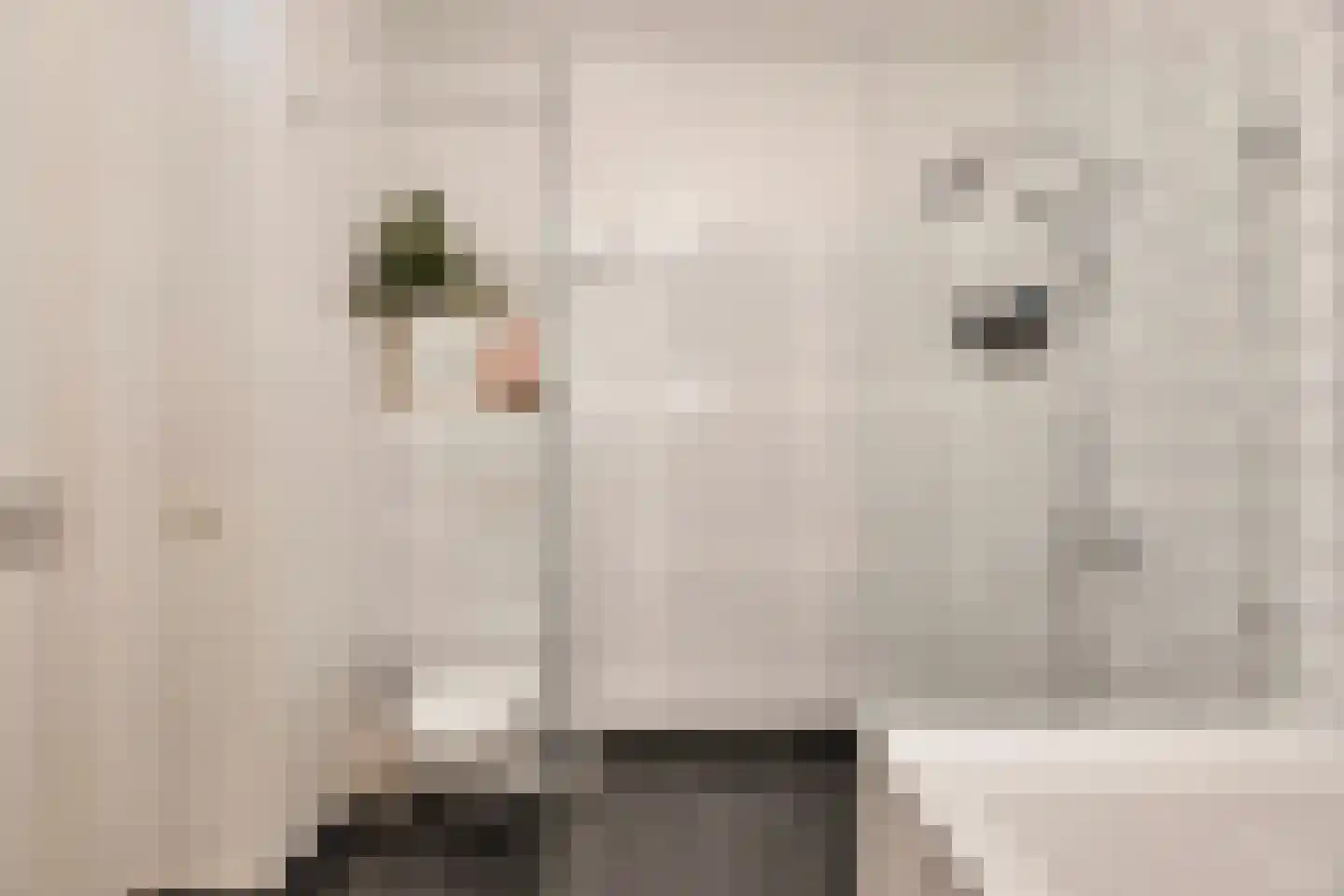 Maashaven N.z. 525 Rotterdam thumbnail 31