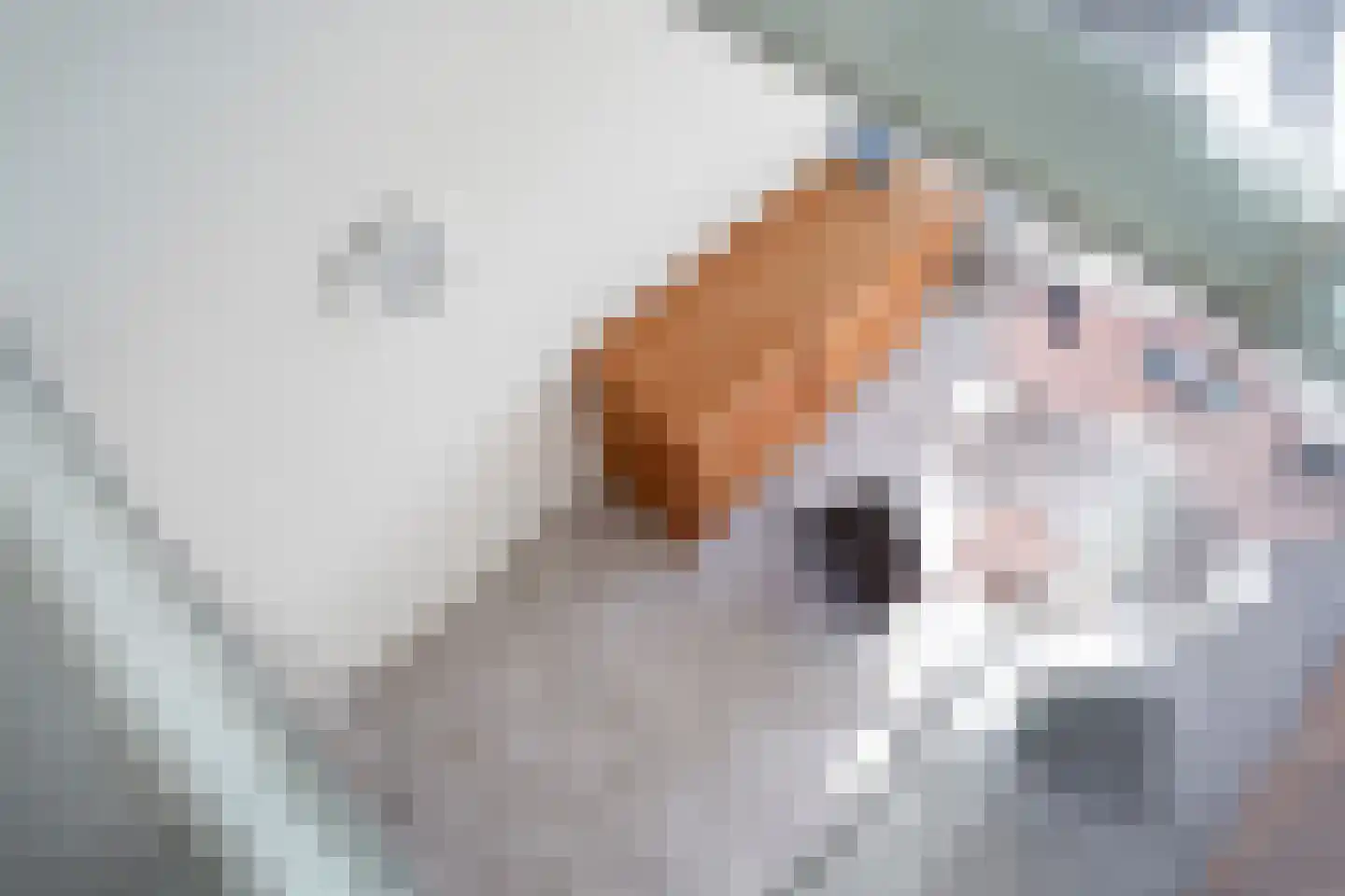 Maashaven N.z. 55 Rotterdam thumbnail 13