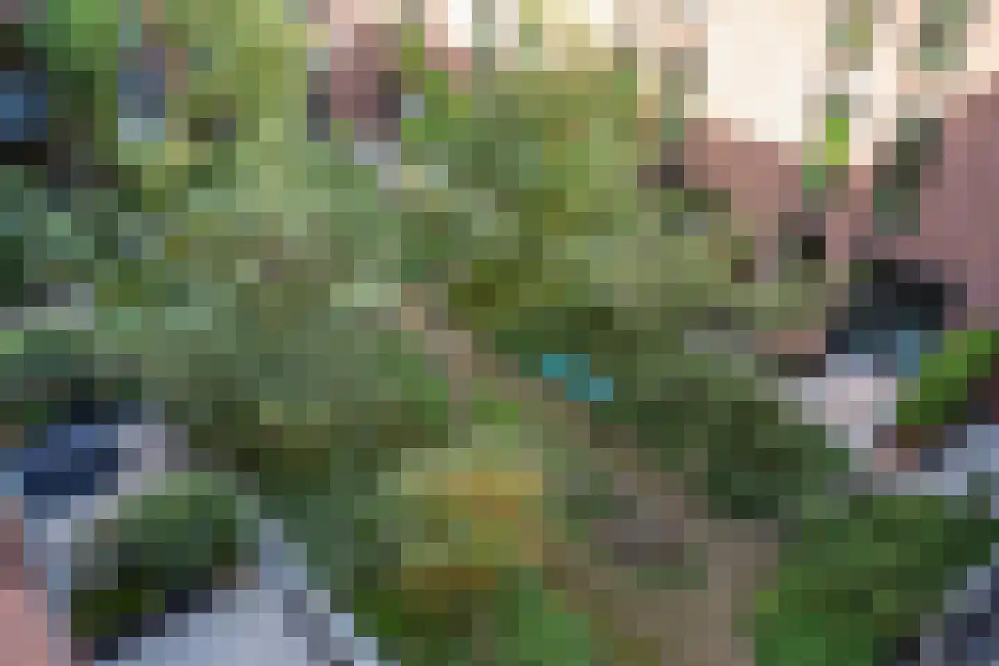 Maashaven N.z. 55 Rotterdam thumbnail 36