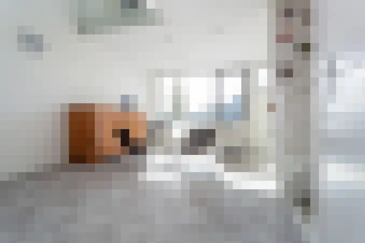 Maashaven N.z. 55 Rotterdam thumbnail 8