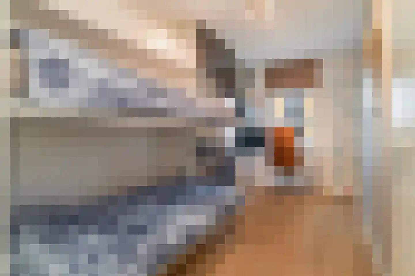 Maashaven N.z. 561 Rotterdam thumbnail 18
