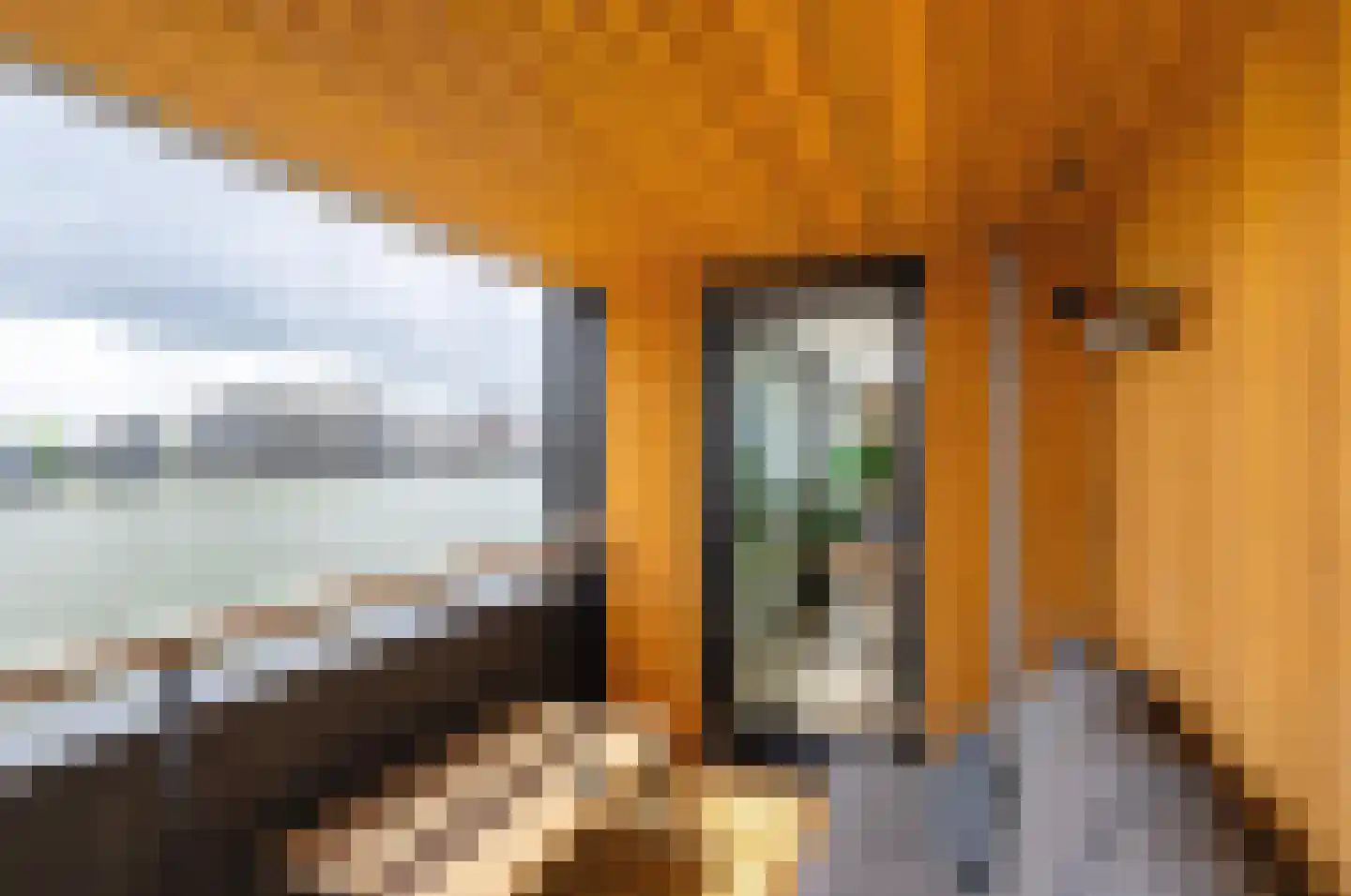 Maashaven N.z. 603 Rotterdam thumbnail 14