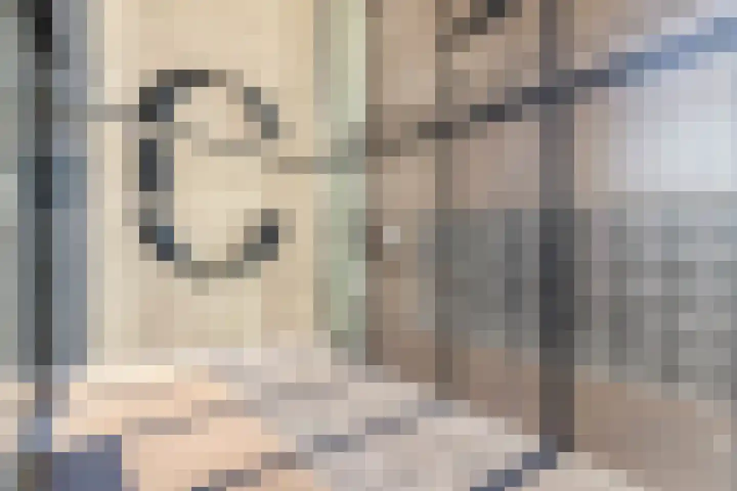 Maashaven N.z. 613 Rotterdam thumbnail 9