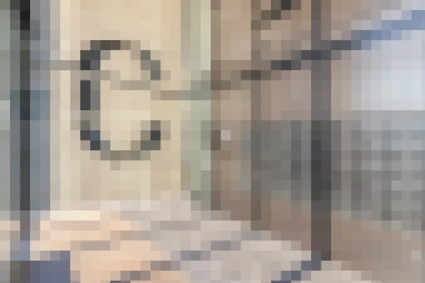 Maashaven N.z. 613 Rotterdam thumbnail 9