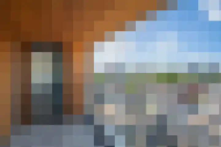 Maashaven N.z. 669 Rotterdam thumbnail 19