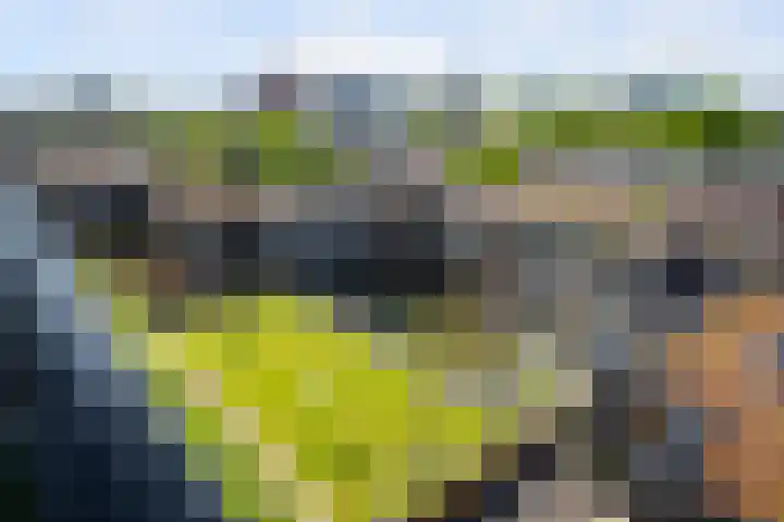 Maashaven N.z. 669 Rotterdam thumbnail 31