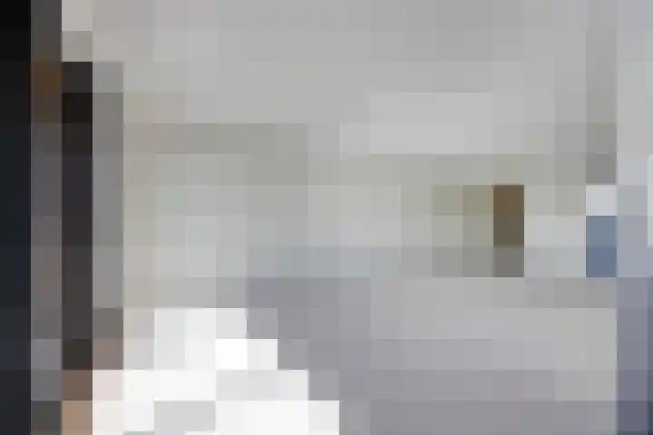 Maashaven N.z. 727 Rotterdam thumbnail 15