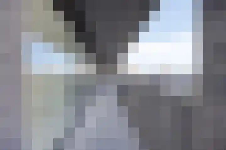 Maashaven N.z. 727 Rotterdam thumbnail 26