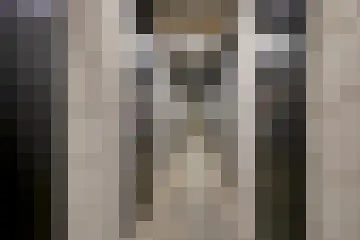 Maashaven N.z. 727 Rotterdam thumbnail 28