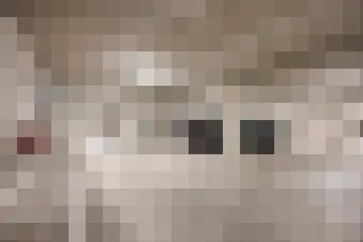 Maashaven N.z. 727 Rotterdam thumbnail 30