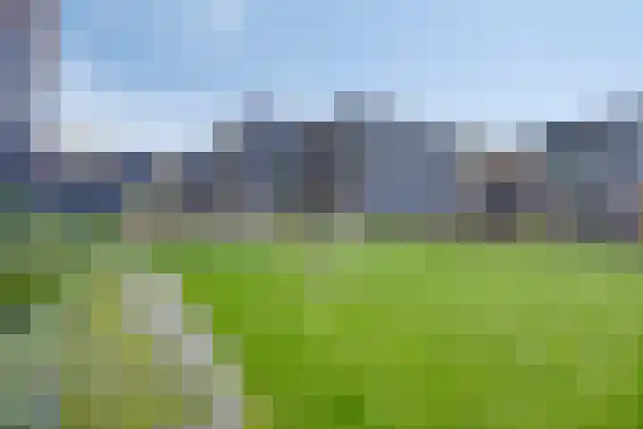 Maashaven N.z. 727 Rotterdam thumbnail 31