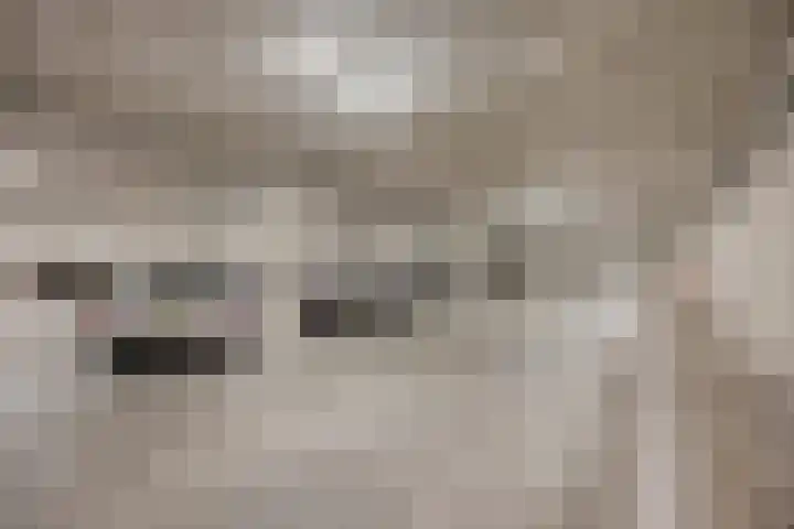 Maashaven N.z. 727 Rotterdam thumbnail 34