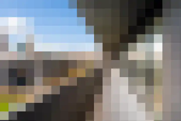 Maashaven N.z. 731 Rotterdam thumbnail 27